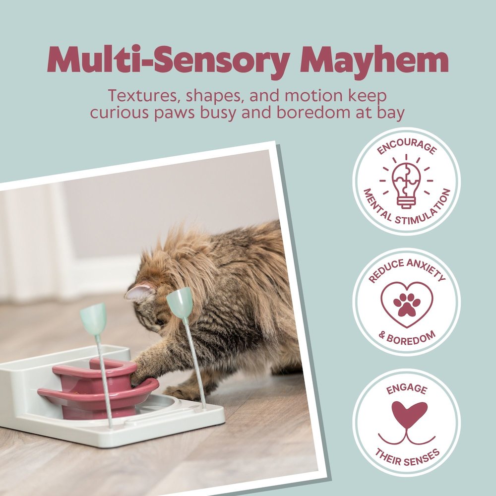 Fantasy Board Strategy Game for Cats, Puzzle Toy, Treat Dispenser