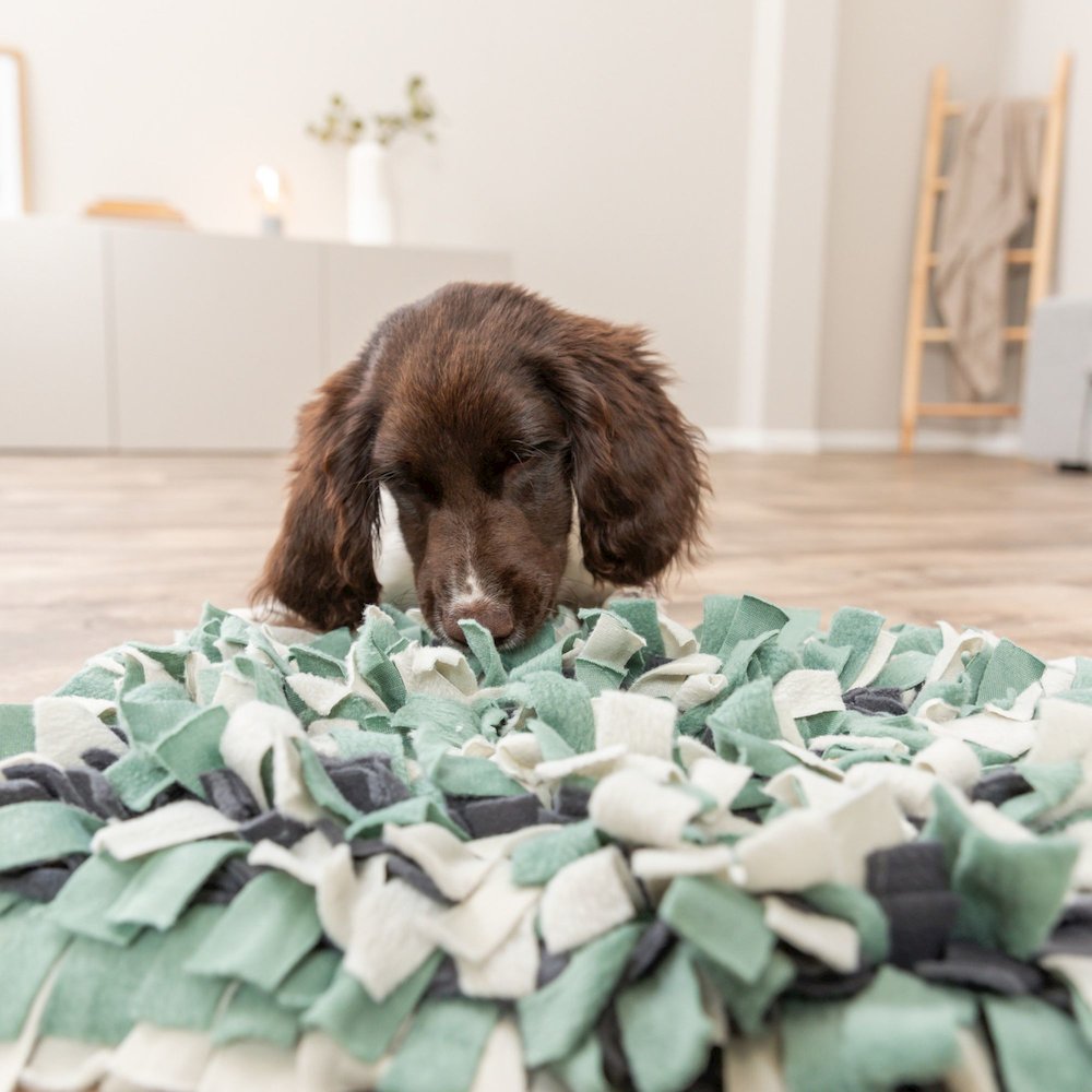 Snuffle Mat for Dogs Level 1 Enrichment Puzzle for Dogs Slow Feeder