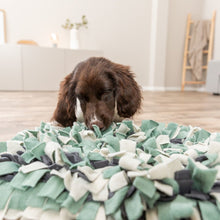 Snuffle Mat for Dogs Level 1 Enrichment Puzzle for Dogs Slow Feeder