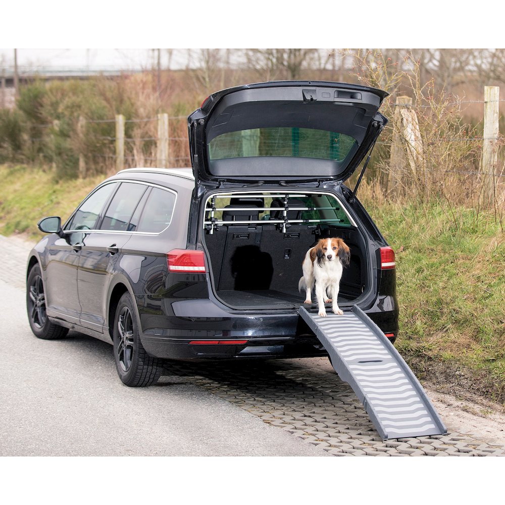 59-in Pet Ramp for Small to Medium Dogs up to 55 lbs, Easy to Store