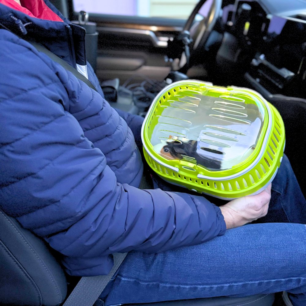 Pico Transport Crate for Traveling, Small Pet Carrier Ideal for Hamsters