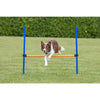 Dog Agility Hurdle, Obstacle Training