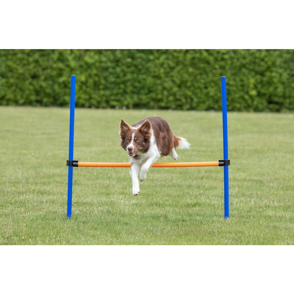 Dog Agility Hurdle, Obstacle Training