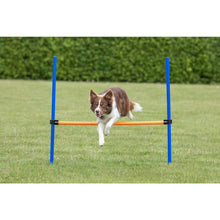 Dog Agility Hurdle, Obstacle Training