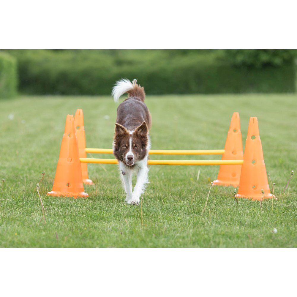 Dog Agility Hurdle Cone Set, Obstacle Training