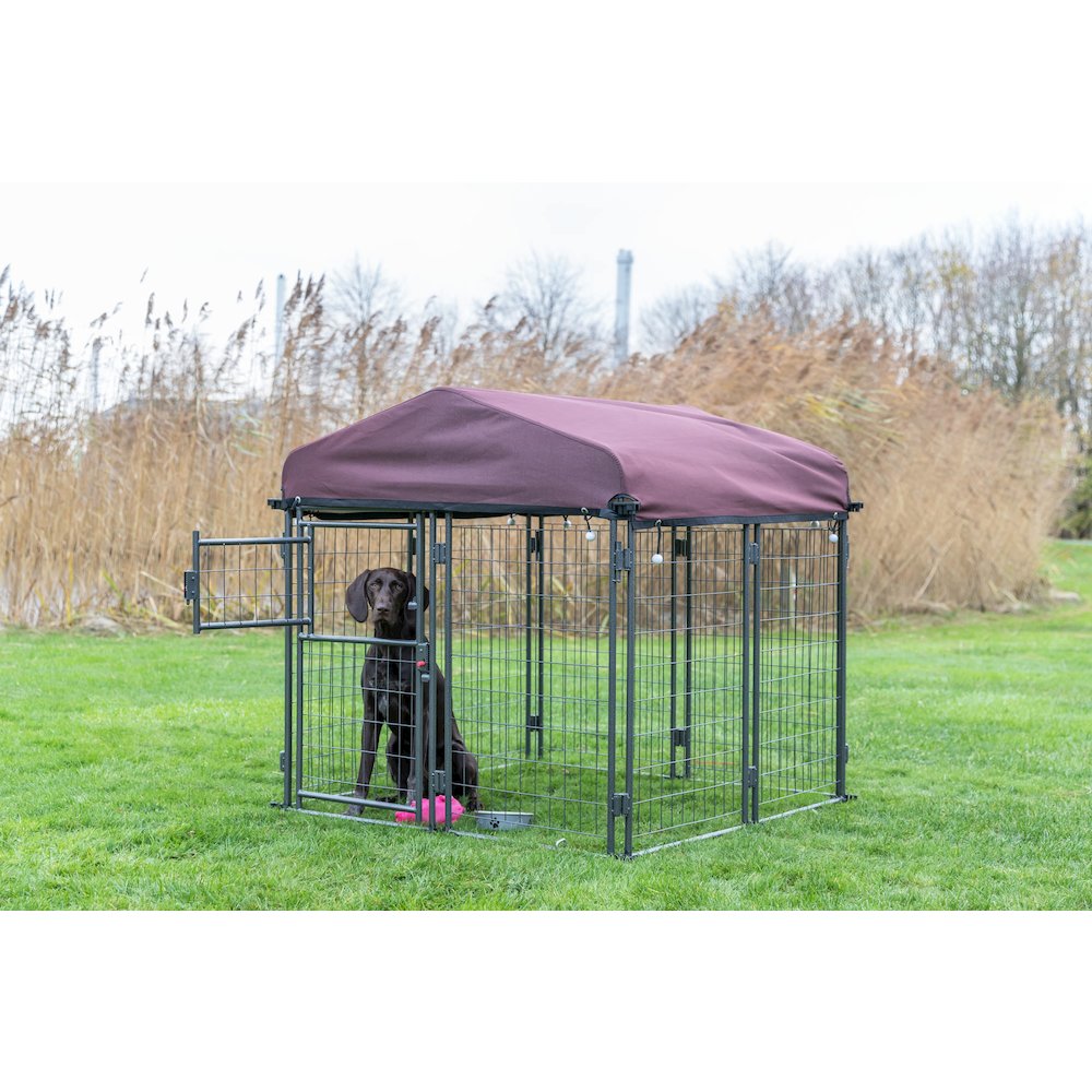 Deluxe Outdoor Dog Kennel, Medium