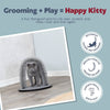 Cat Massager and Self Grooming Arch, Bristle Ring Brush, Carpet Scratcher, Gray