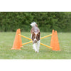Dog Agility Hurdle Cone Set, Obstacle Training