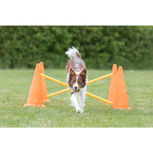 Dog Agility Hurdle Cone Set, Obstacle Training