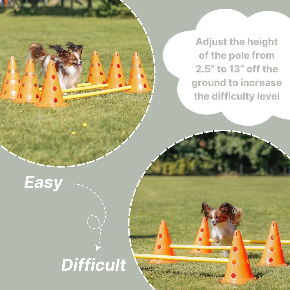 Dog Agility Hurdle Cone Set, Obstacle Training