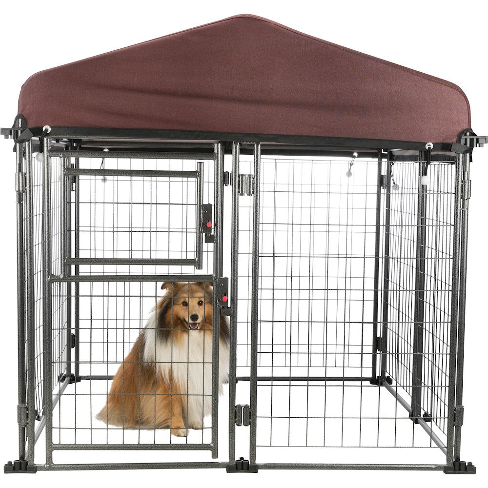Deluxe Outdoor Dog Kennel, Medium