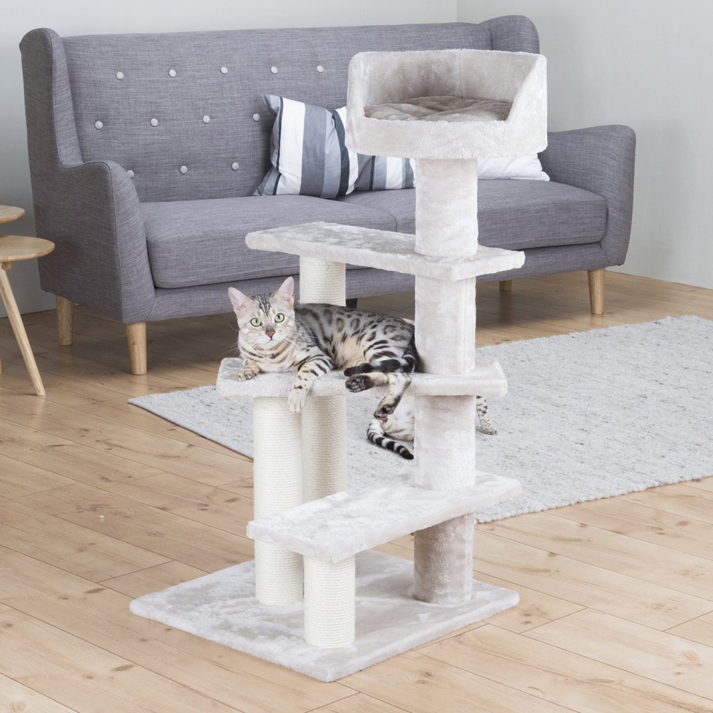 Tulia Senior Plush & Sisal 4-Level 40.2" Cat Tree, Scratching Posts & Bed