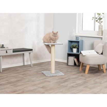 Espejo 27" Sisal Cat Scratching Post with Plush Platform, Gray