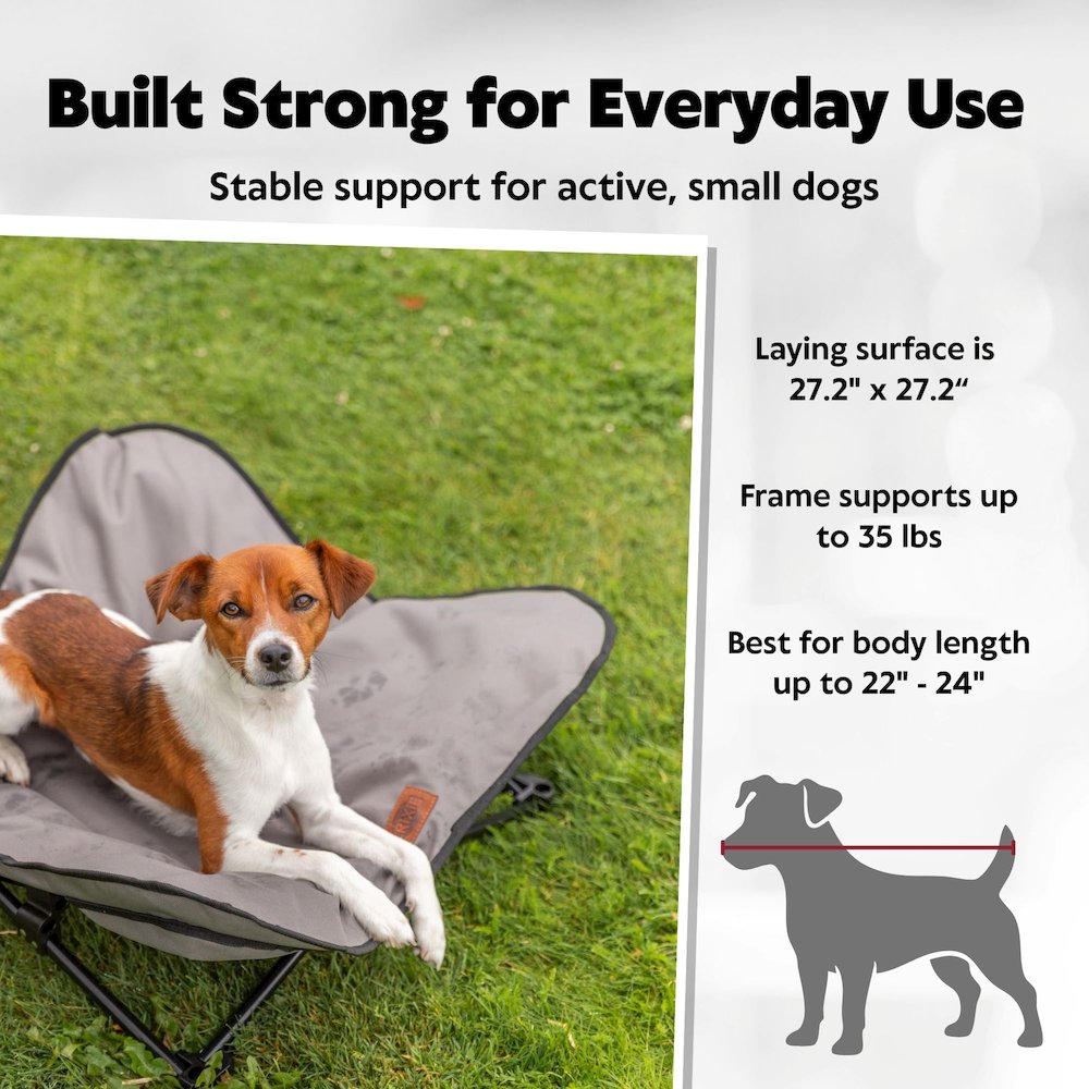 Elevated Camping Cot, Folding Dog Bed, Raised Travel Lounger for Small Dogs