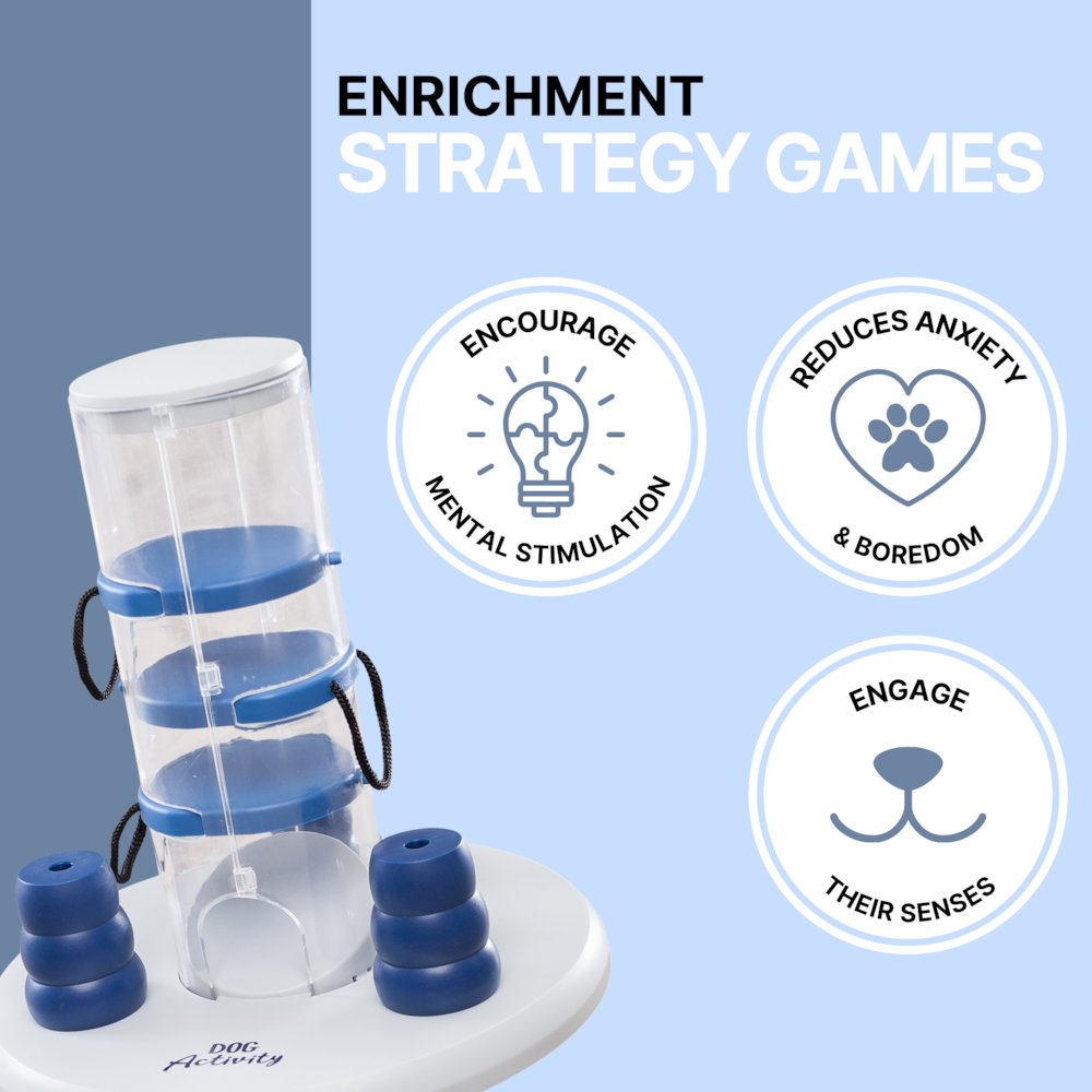 Dog Gambling Tower Strategy Game, Level 1, Beginner Dog Puzzle Toy