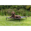 2-in-1 Elevated Portable Dog House or Dog Cot & Tent for Medium-Large Dogs