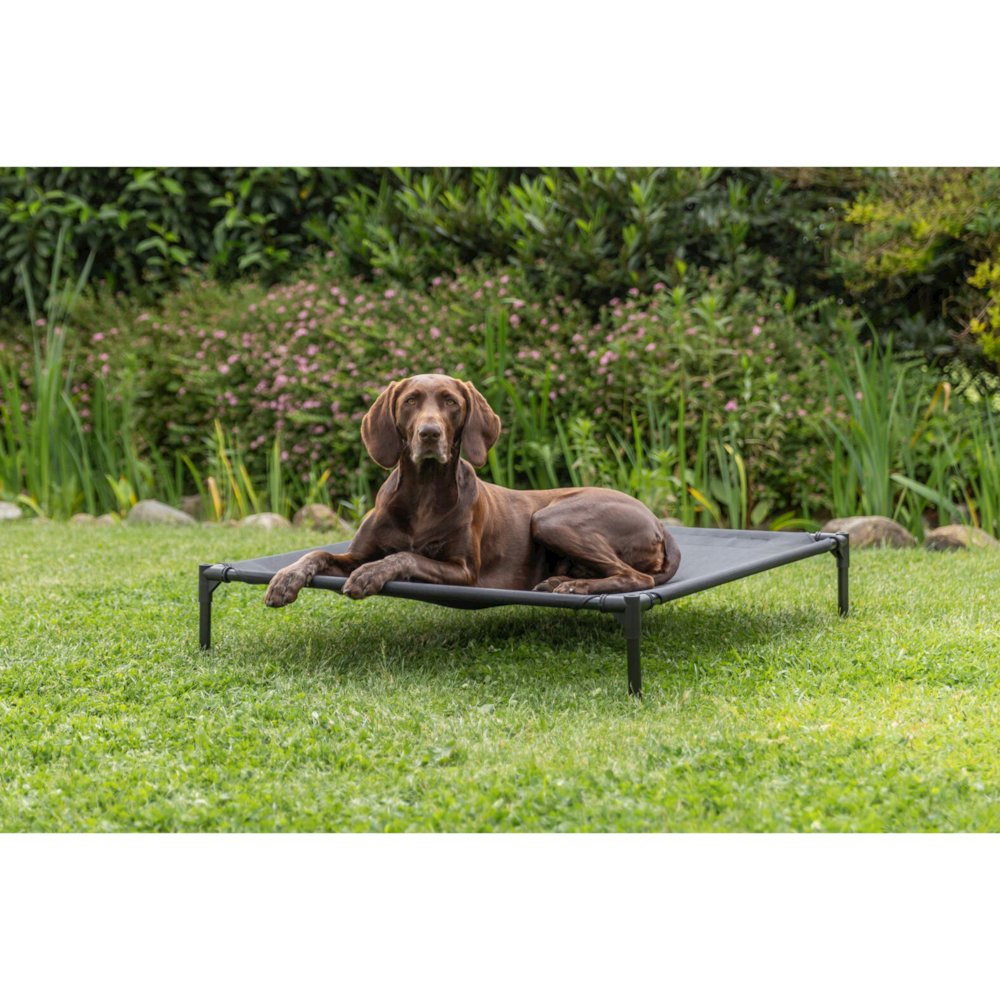 2-in-1 Elevated Portable Dog House or Dog Cot & Tent for Medium-Large Dogs