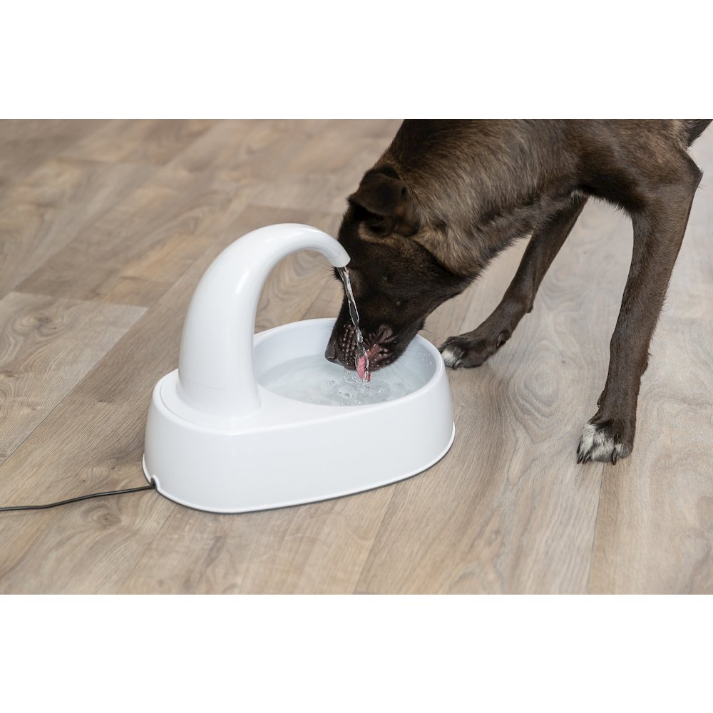 Curved Stream 84.5oz Drinking Fountain for Cats and Dogs