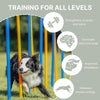Dog Agility Slalom Set, 12 Piece Weaving Poles