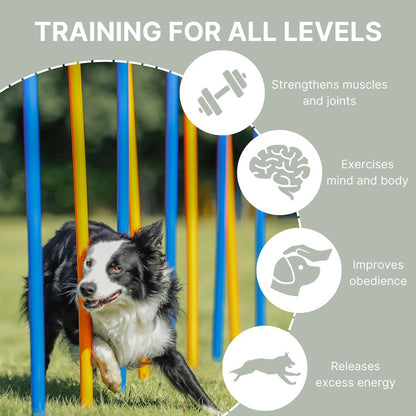 Dog Agility Slalom Set, 12 Piece Weaving Poles