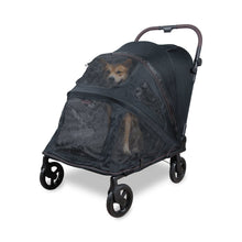 Hudson Stroller  - Large - Graphite Black